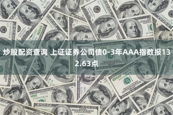 炒股配资查询 上证证券公司债0-3年AAA指数报132.63点