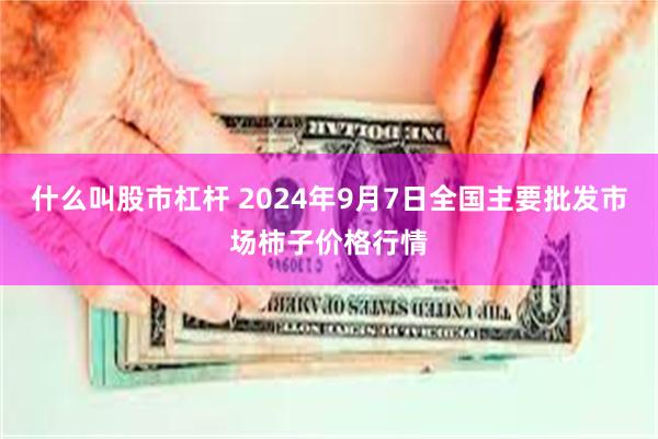 什么叫股市杠杆 2024年9月7日全国主要批发市场柿子价格行情