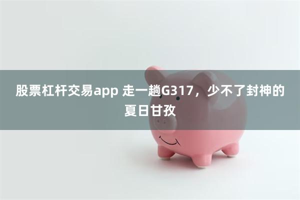 股票杠杆交易app 走一趟G317，少不了封神的夏日甘孜