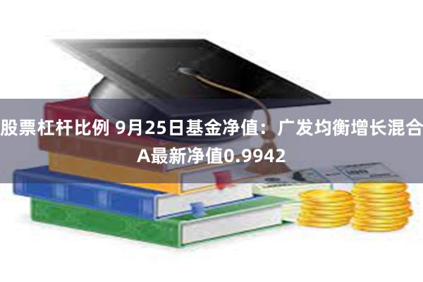 股票杠杆比例 9月25日基金净值：广发均衡增长混合A最新净值0.9942