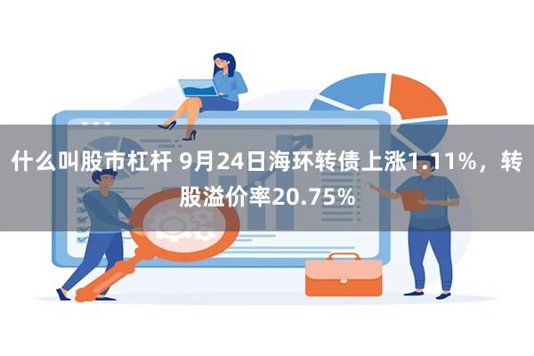 什么叫股市杠杆 9月24日海环转债上涨1.11%，转股溢价率20.75%