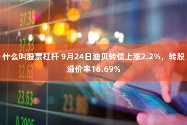 什么叫股票杠杆 9月24日迪贝转债上涨2.2%，转股溢价率16.69%