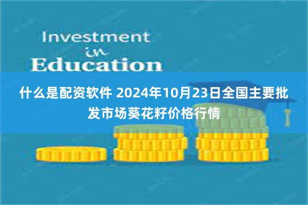 什么是配资软件 2024年10月23日全国主要批发市场葵花籽价格行情