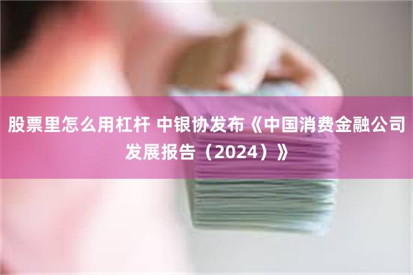 股票里怎么用杠杆 中银协发布《中国消费金融公司发展报告（2024）》