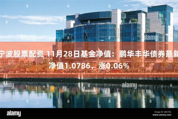 宁波股票配资 11月28日基金净值：鹏华丰华债券最新净值1.0786，涨0.06%